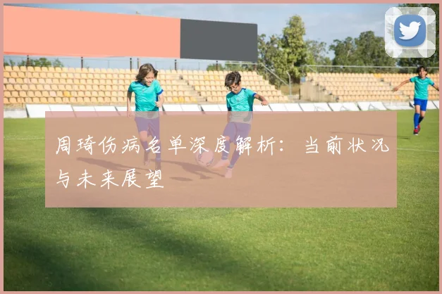 周琦伤病名单深度解析:当前状况与未来展望